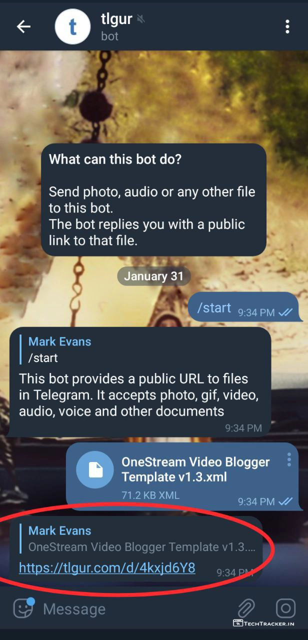 2_how-to-convert-file-to-link-and-host-static-website-on-telegram