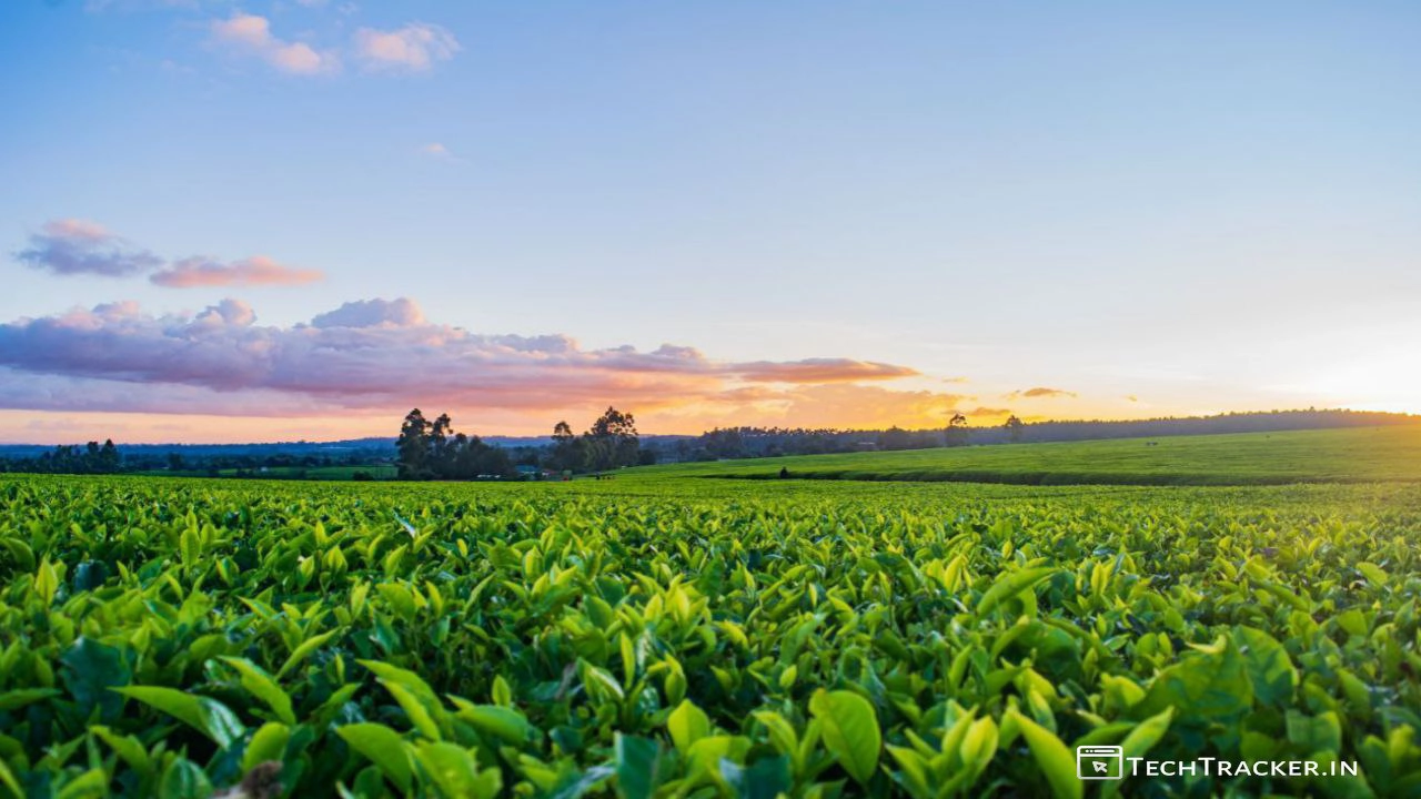 5_3-farm-laws-indias-agriculture-acts-for-the-welfare-of-farmers