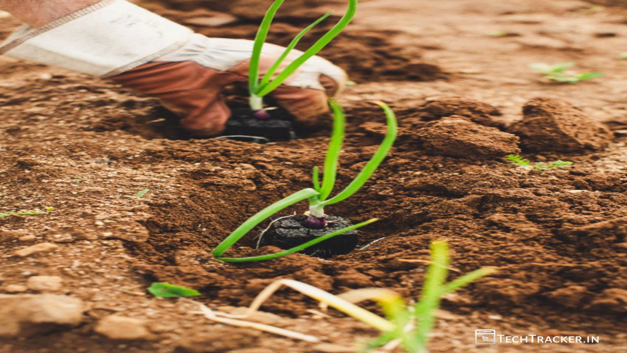 6_3-farm-laws-indias-agriculture-acts-for-the-welfare-of-farmers