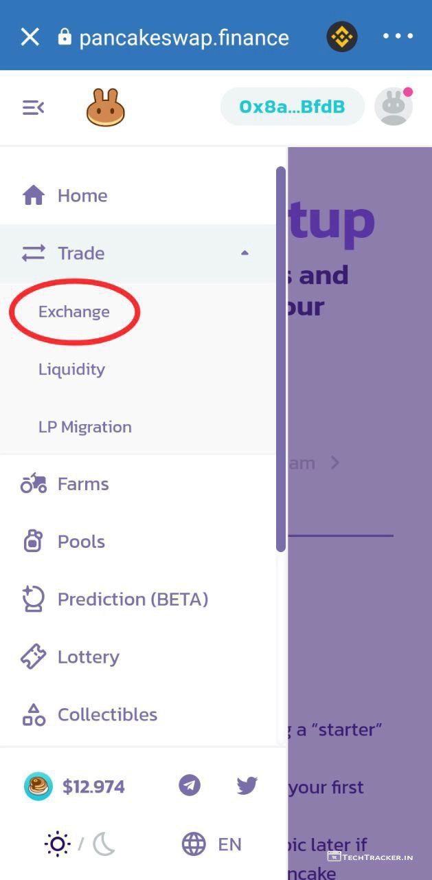 8_how-to-buy-syl-tokens-on-pancakeswap