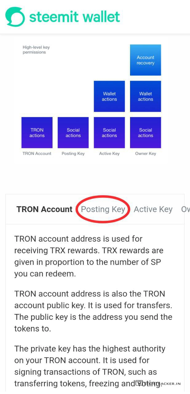 9_steemit-best-decentralized-social-network-to-earn-crypto-online