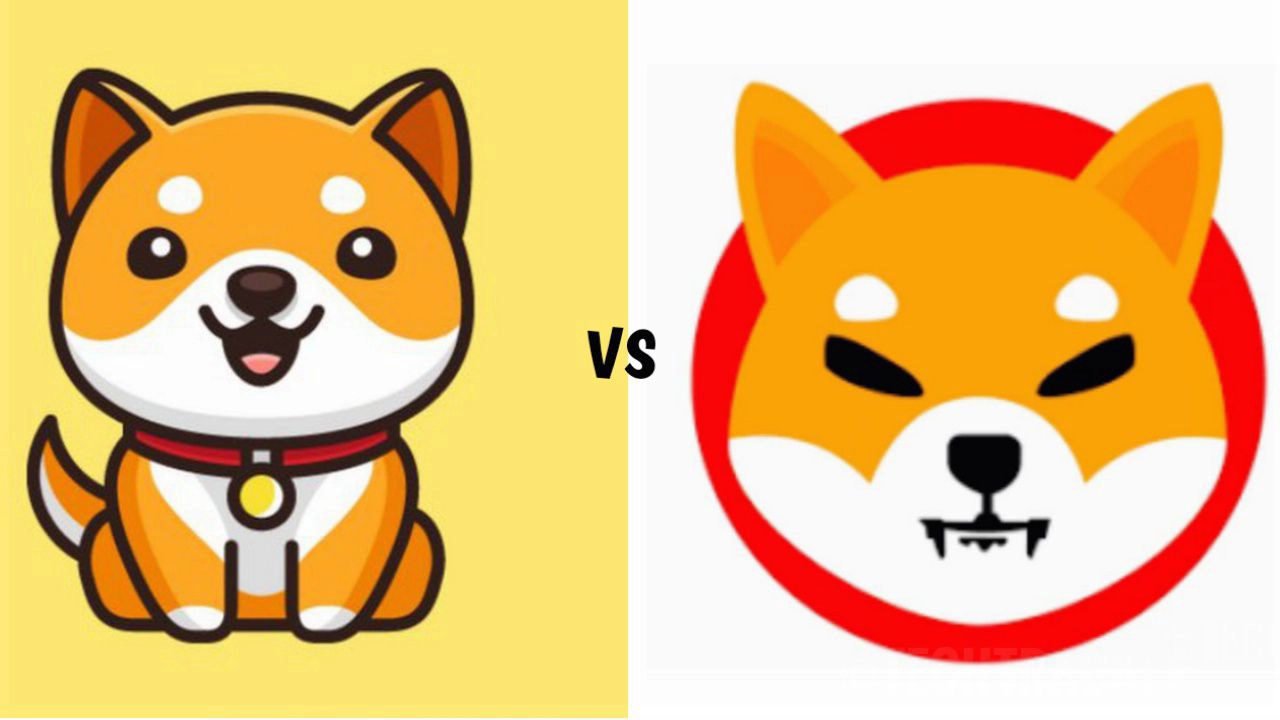 baby-doge-is-better-then-shiba-inu-heres-why