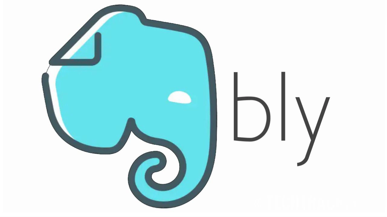 bly-chat-and-learn-english-german-for-free-with-community