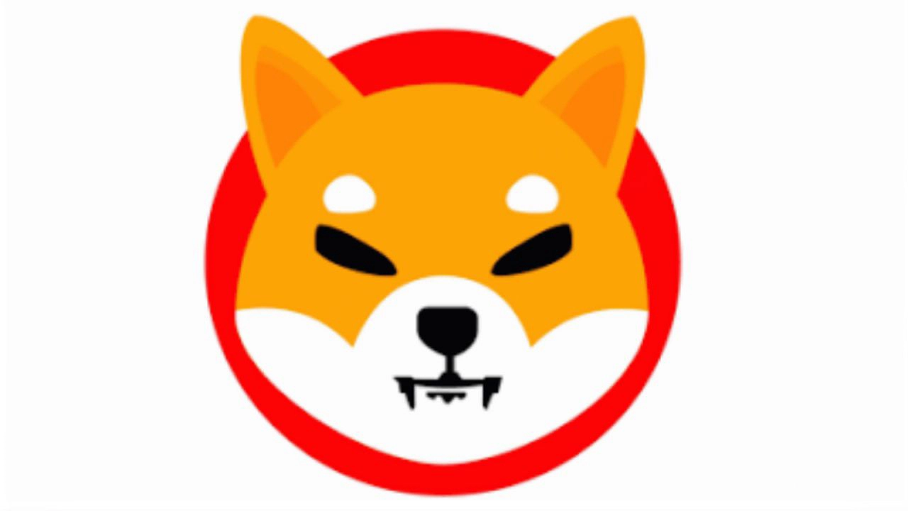 what-is-shiba-inu-coin-how-its-surged-so-high-in-short-time
